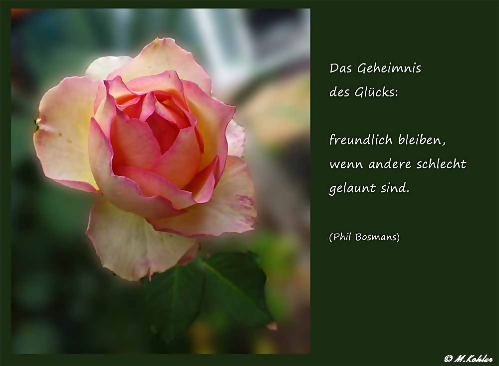 Das Geheimnis .....