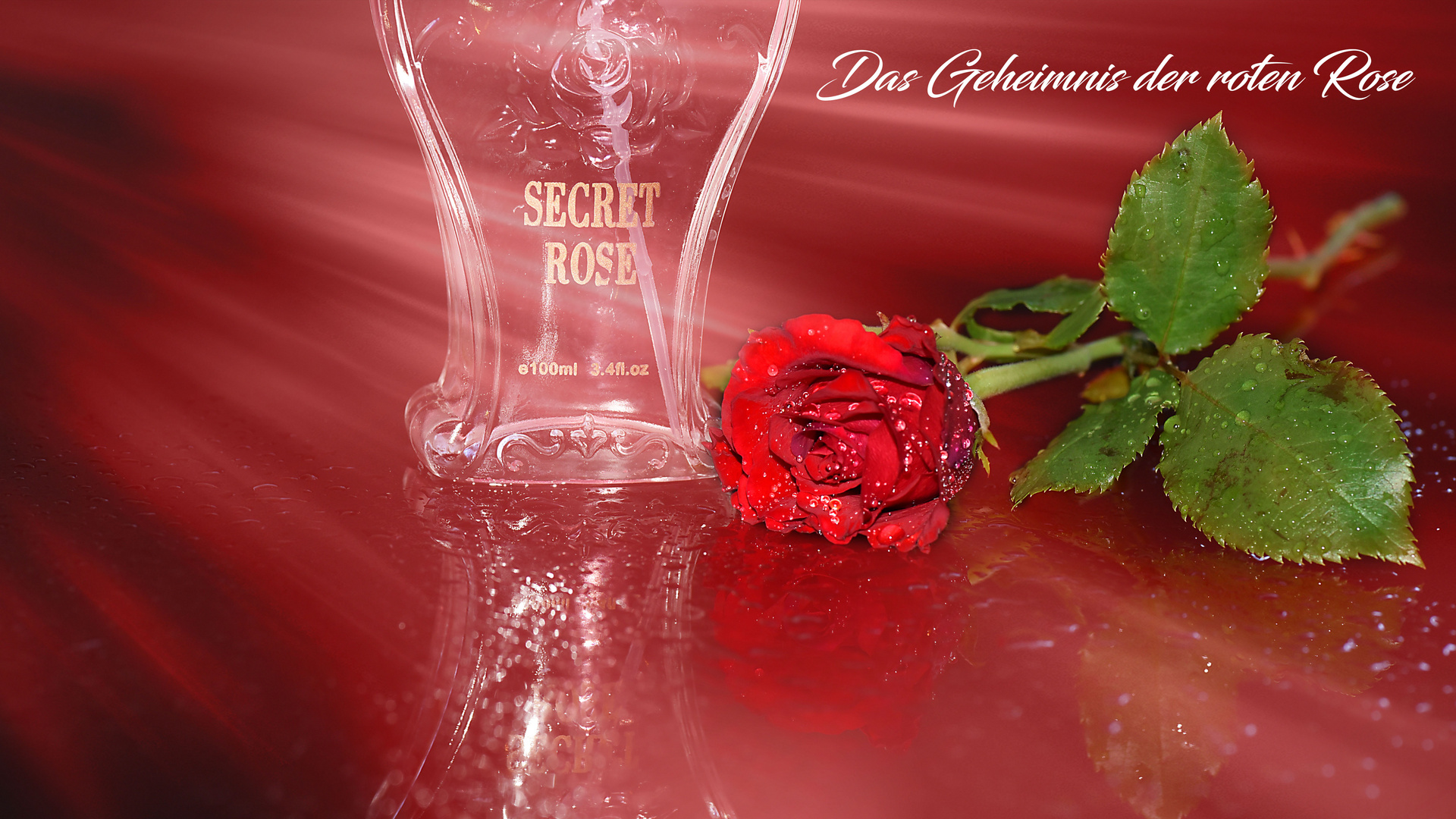 Das Geheimnis der roten Rose...