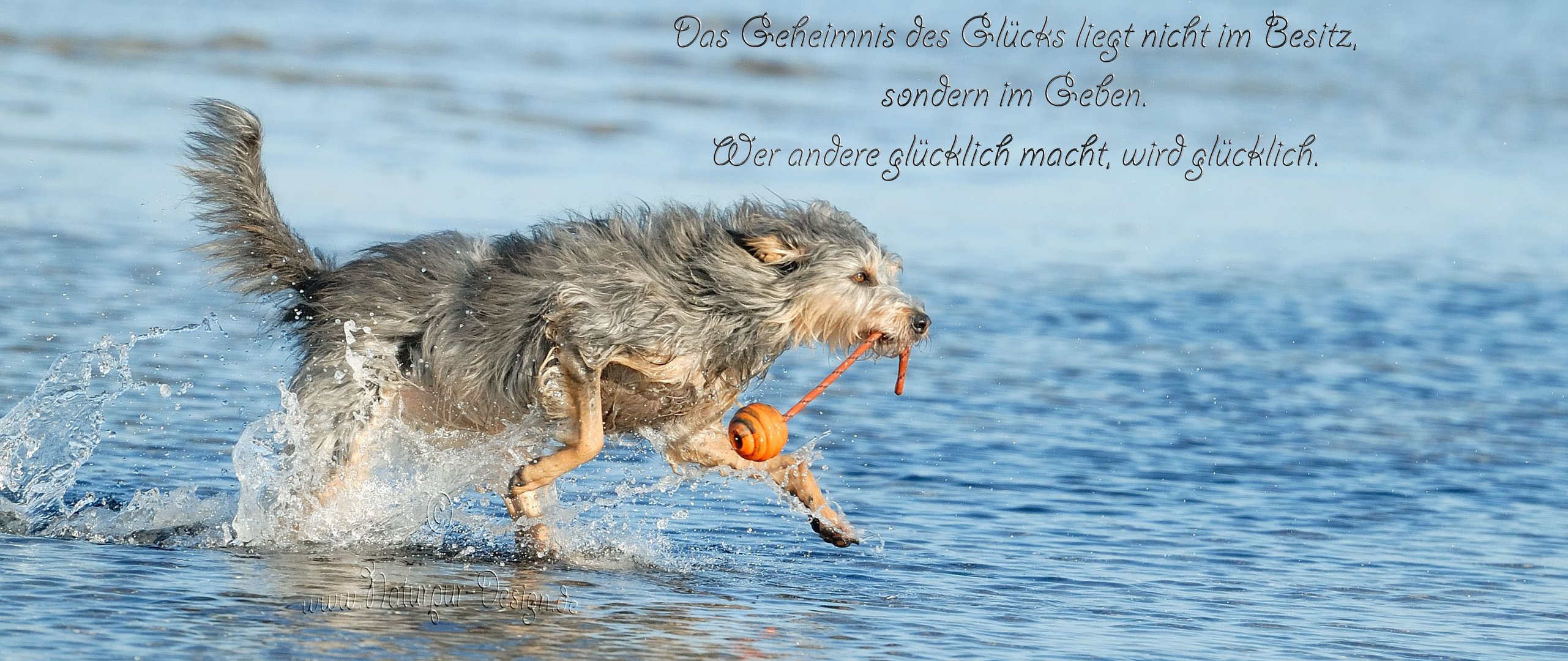 **Das Geheimnis des Glücks ... **