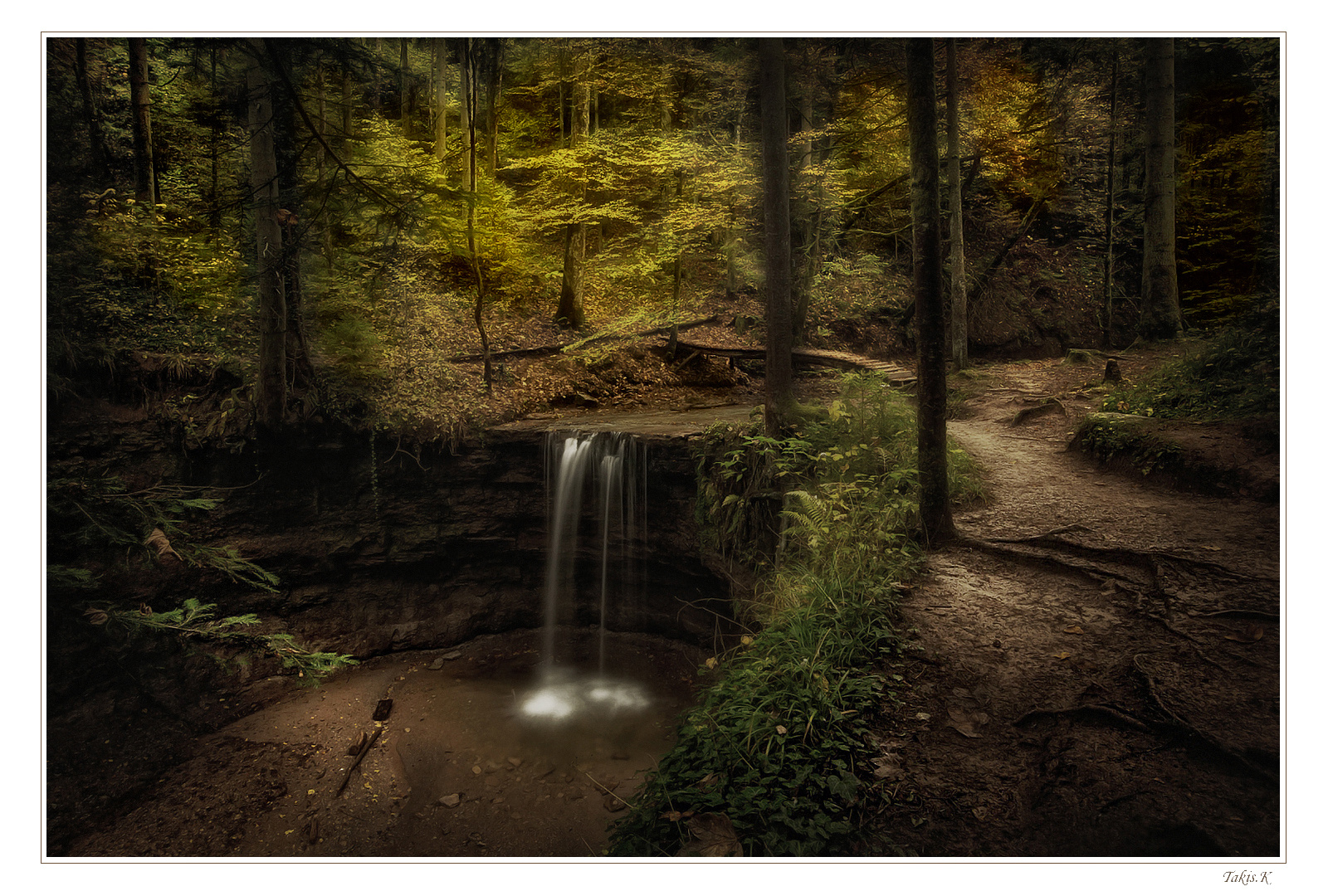 Das geheimnischvoller Wald