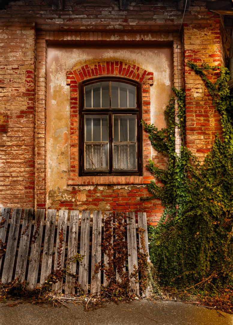 Das geheimnisvolle Fenster