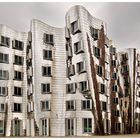 Das Gehry-Haus