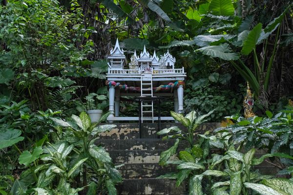 ...das Geisterhäuschen im Dschungel...