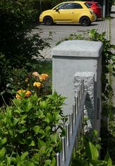 Das Gelb, die Blomen, der 500er