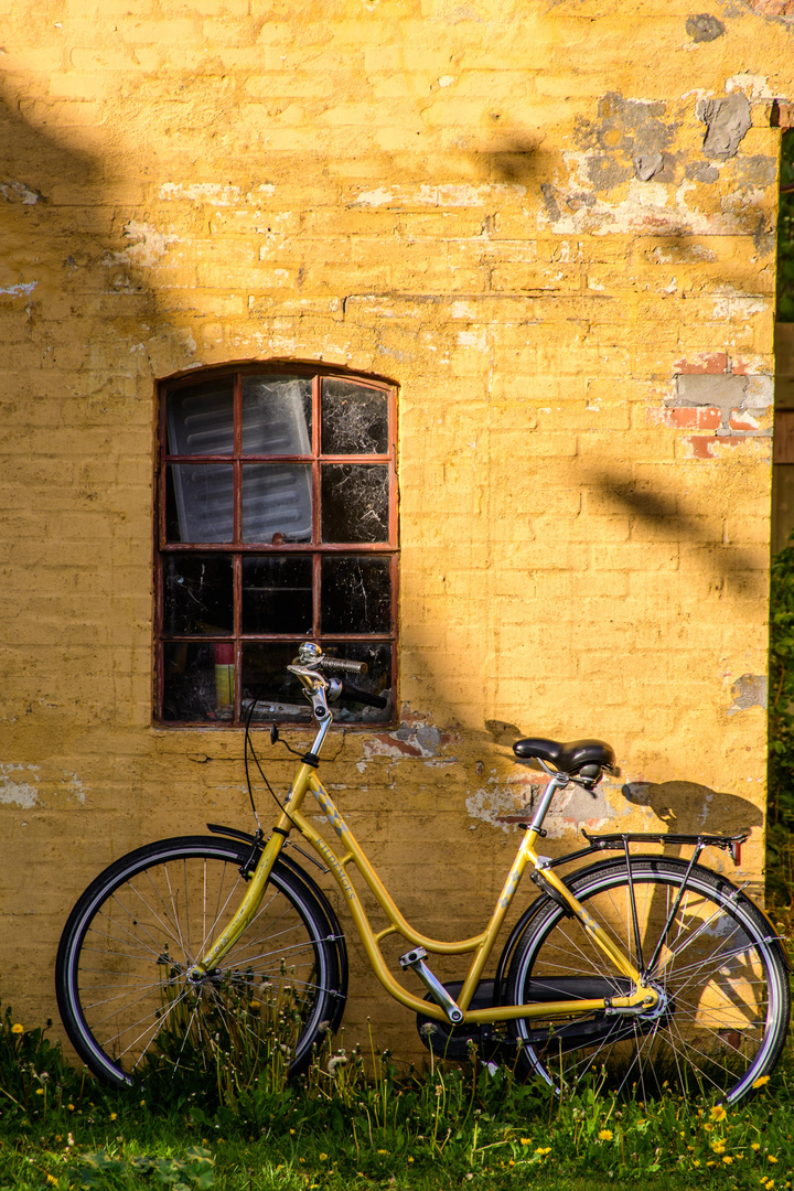 Das gelbe Fahrrad