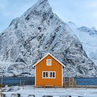 das gelbe Haus in Sakrisøy