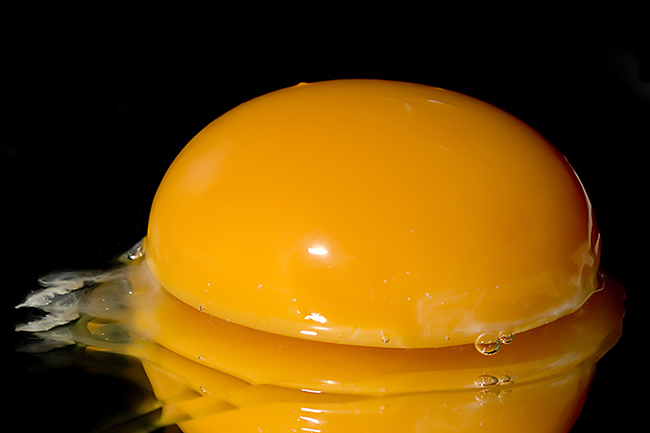 Das gelbe vom Ei