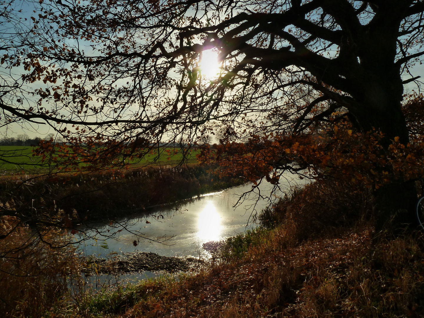 Das gelbe Wasser bei Löbnitz