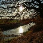 Das gelbe Wasser bei Löbnitz