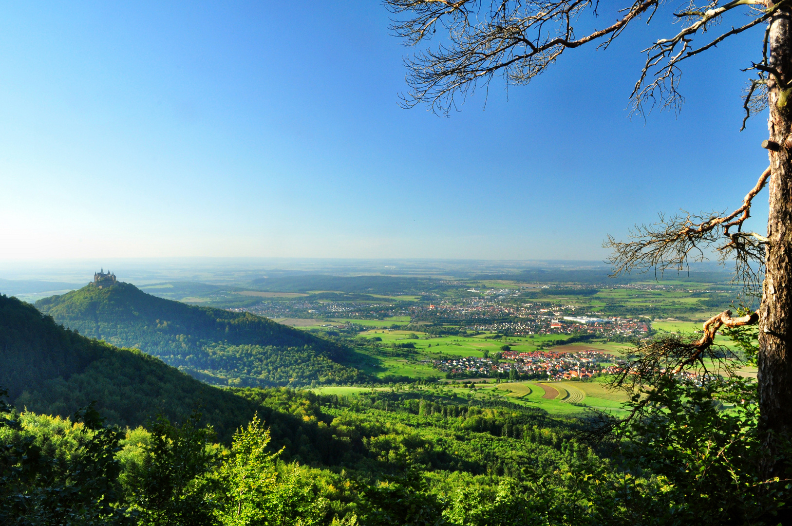 Das gelobte Land