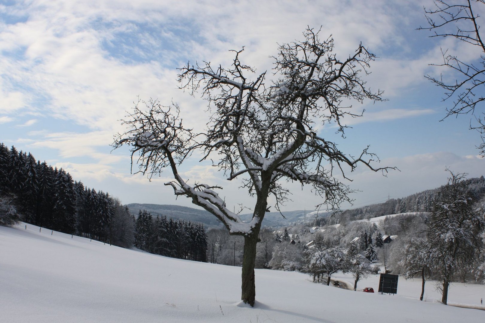 Das Gelpetal in weiß