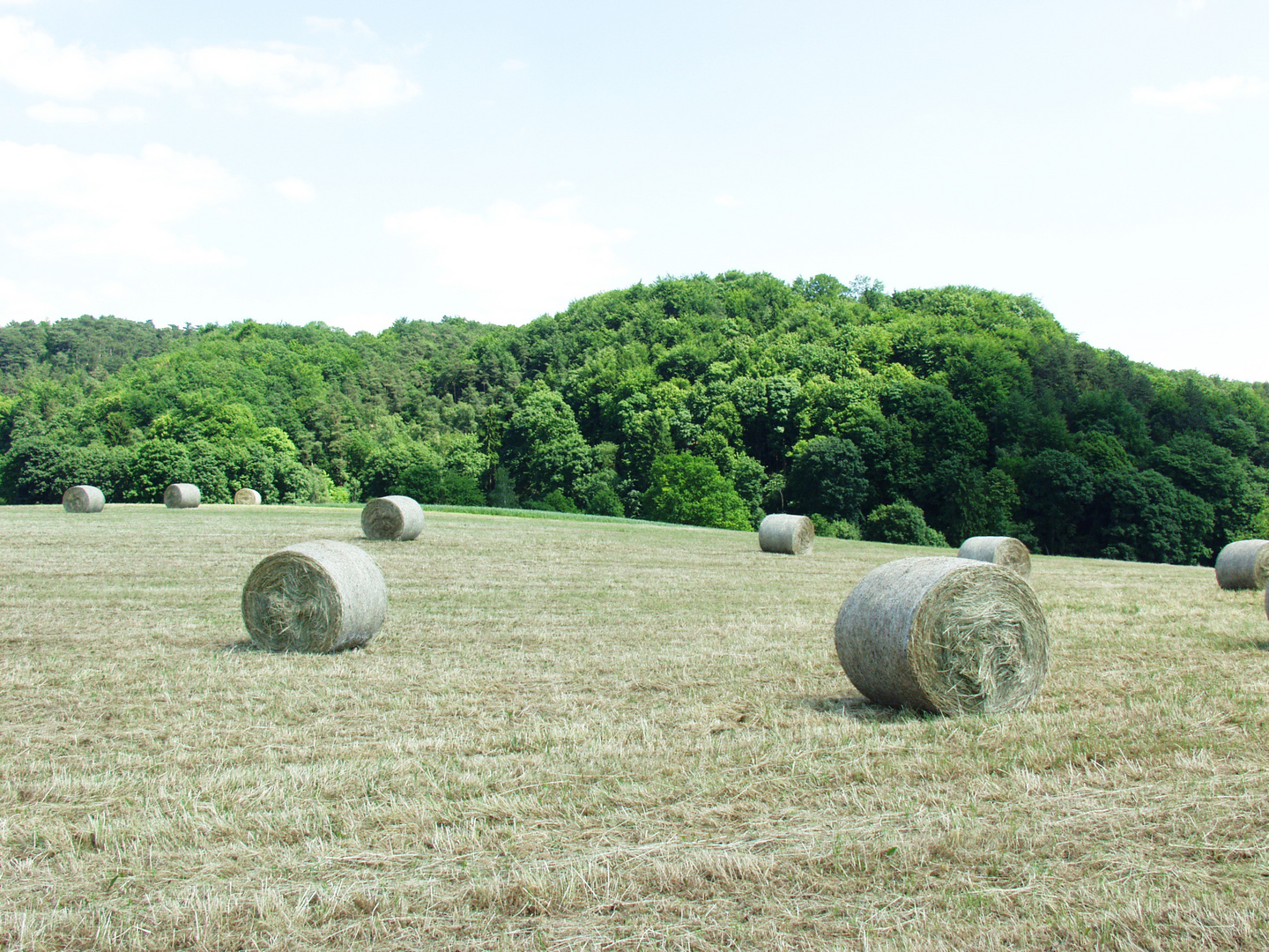 Das Gemähte Feld Foto & Bild | landschaft, Äcker, felder & wiesen, natur Bilder auf fotocommunity