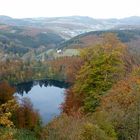 Das Gemündener Maar/Eifel