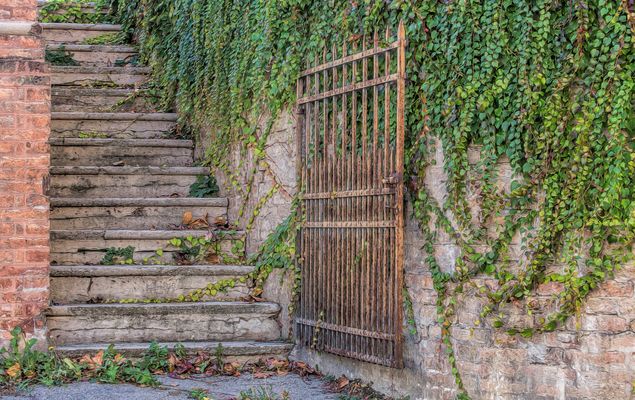 das geoeffnete Tor...