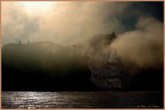 Das Gesicht am Rhein