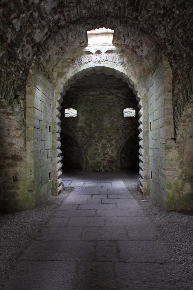 Das Gesicht der Burgruine, Borgholm, Öland