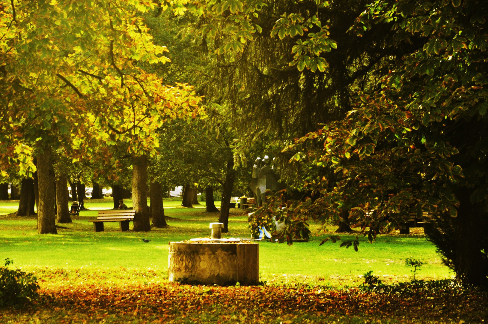 Das Gesicht des Herbstes im Canstatter Park