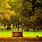 Das Gesicht des Herbstes im Canstatter Park