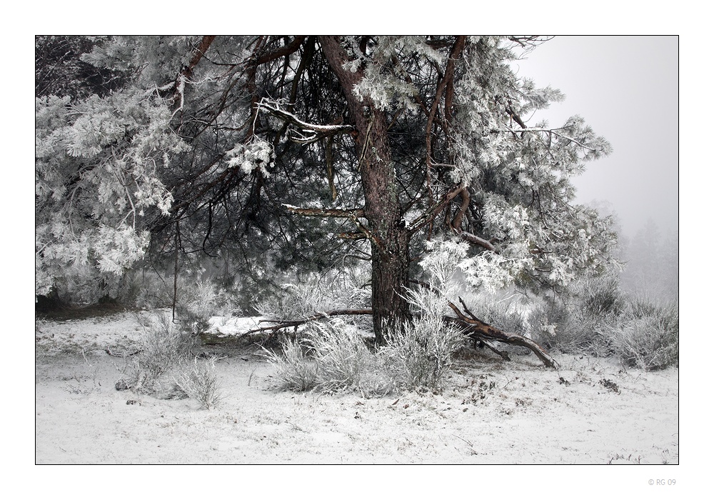 Das Gesicht des Winters