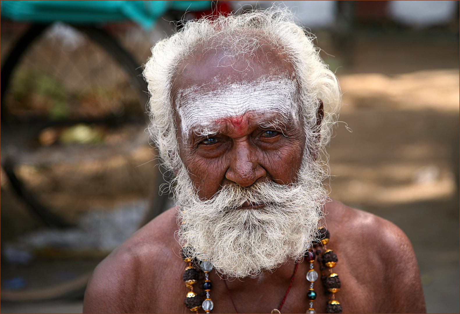 Das Gesicht eines Sadhus