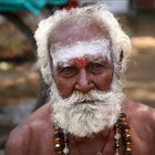 Das Gesicht eines Sadhus