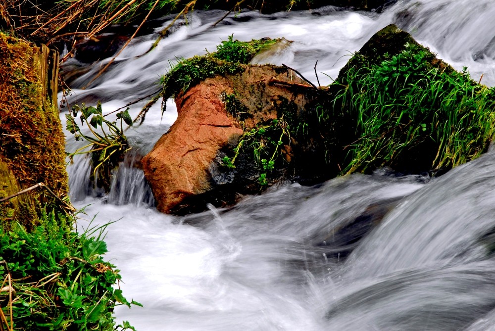 Das Gesicht im Bach - The face in the creek