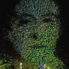 Das Gesicht im Baum