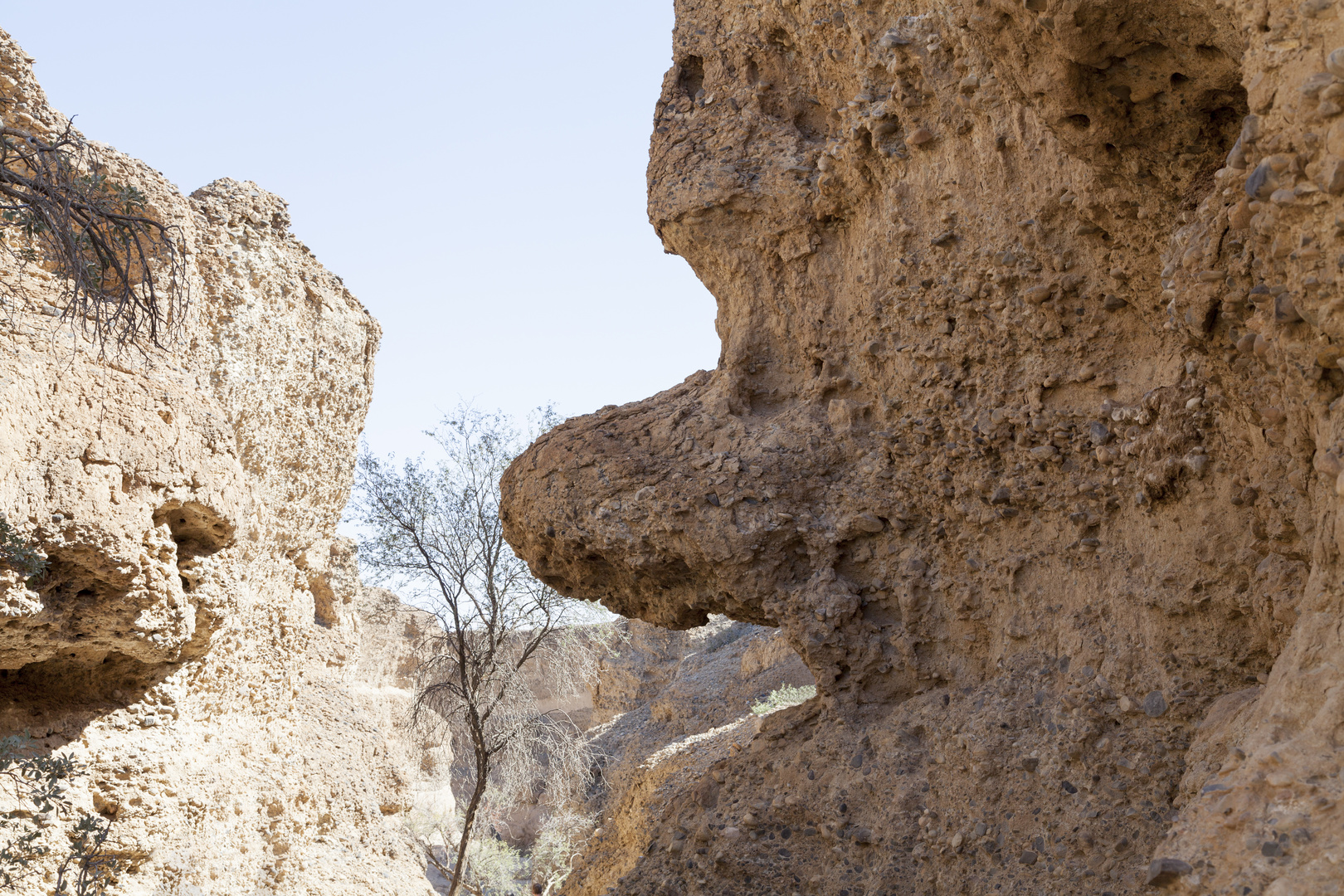 Das Gesicht im Canyon