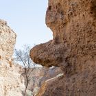 Das Gesicht im Canyon