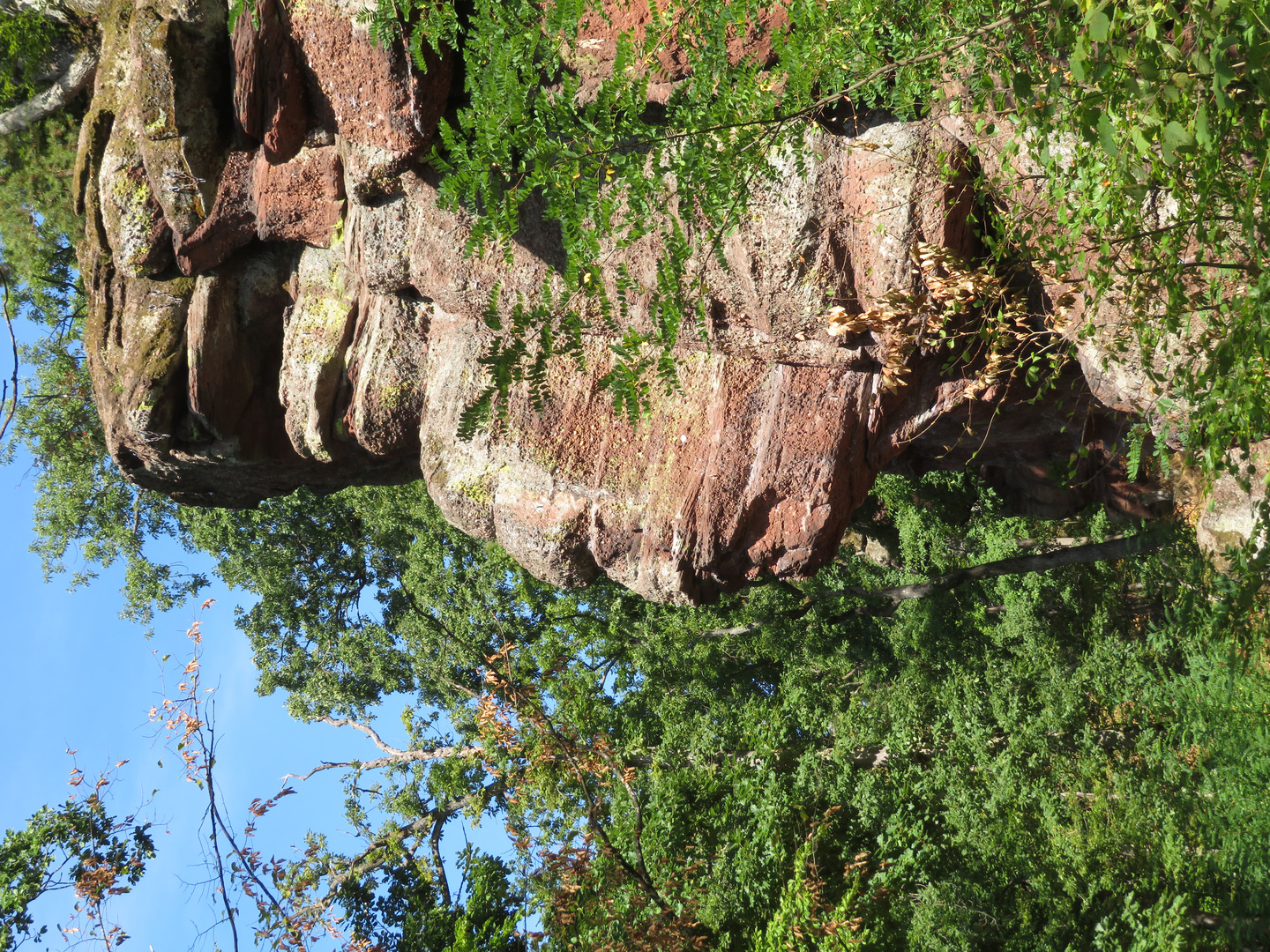 Das Gesicht im Fels