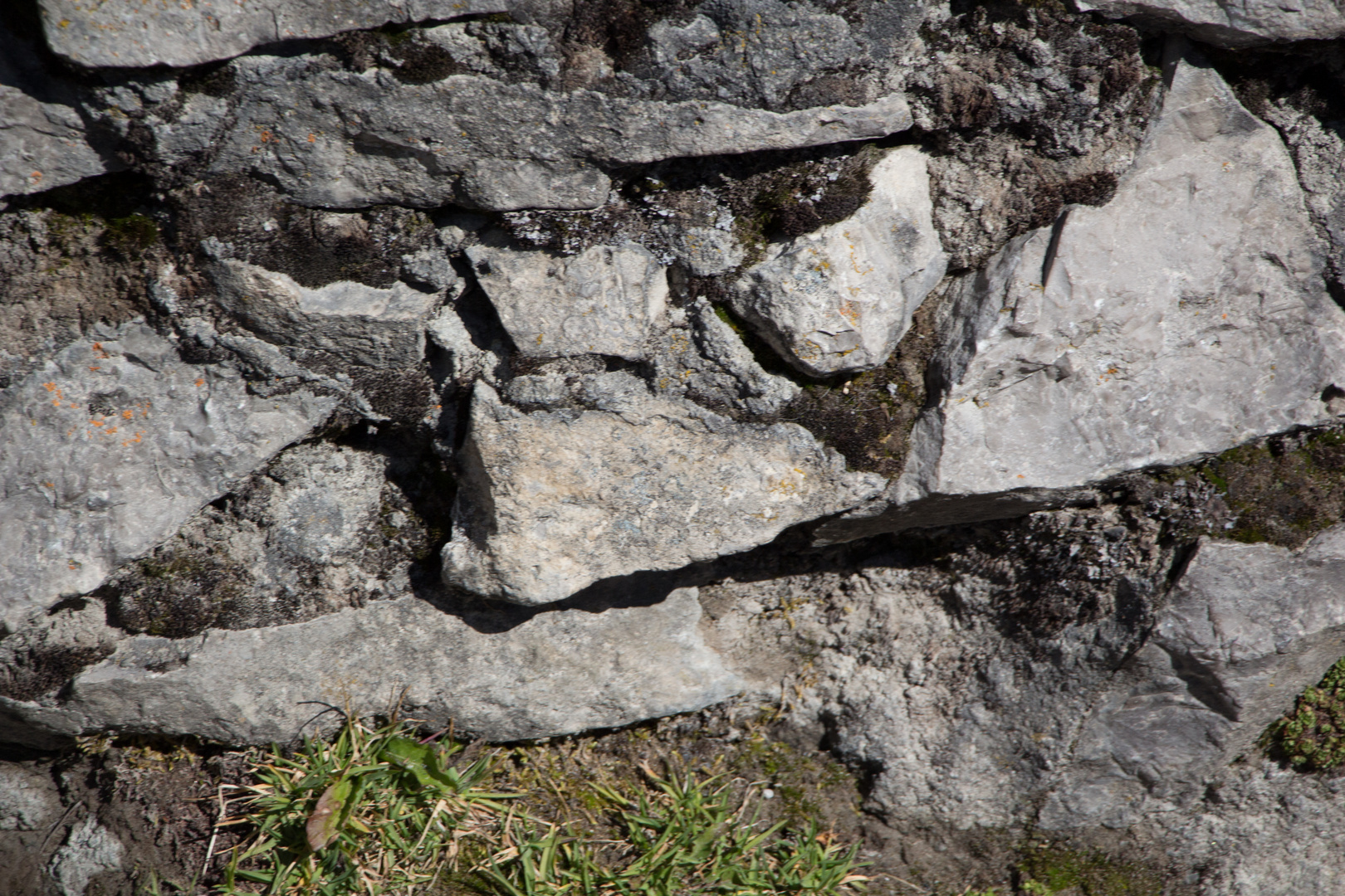 Das Gesicht im Felsen