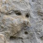 Das Gesicht im Stein