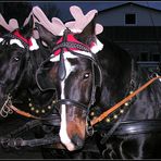 Das Gespann vom Weihnachtsmann !