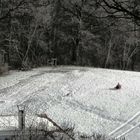 Das Gespür für Schnee