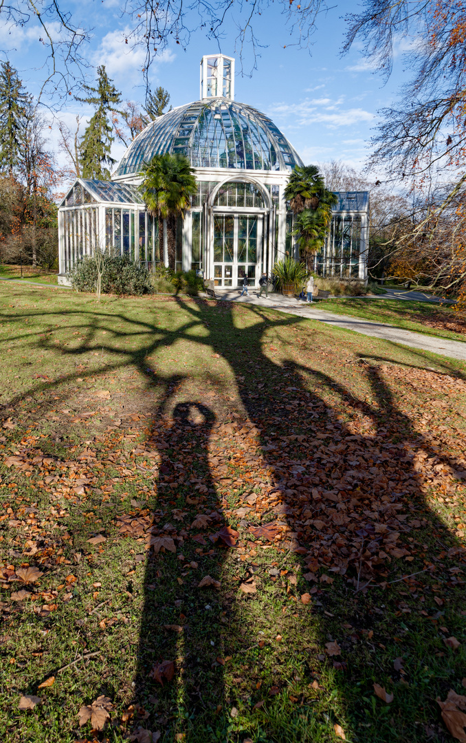 Das Gewächshaus im Botanischen Garten von Genf ...