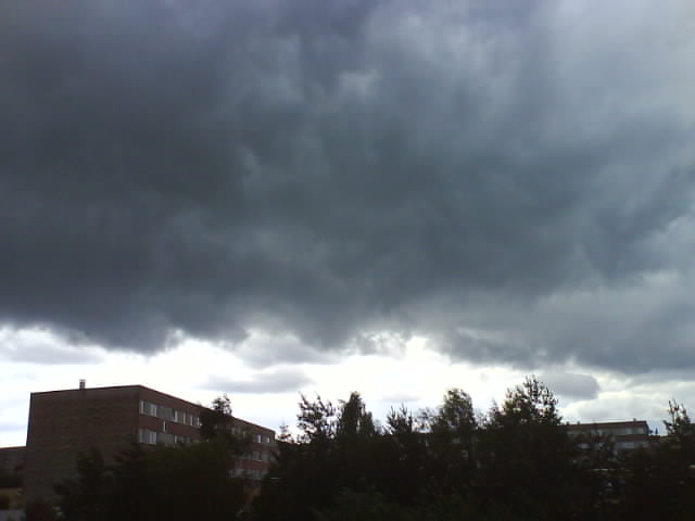 das gewitter