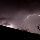 ... das Gewitter von letzter Nacht