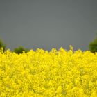 das Gewitter zieht auf...