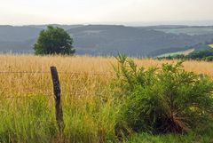 Das Gewittertief kündigt sich an