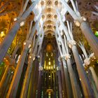 Das Gewölbe der Sagrada Familia