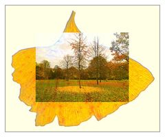 Das Ginkgo-Blatt und der Baum