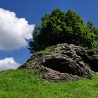 Das "Gipfelgesicht" des Calverbühls