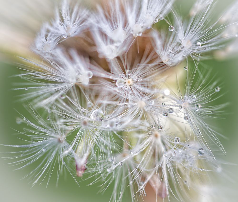 Das Glasperlenspiel