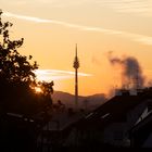 Das gleiche Veluxfenster des Morgens