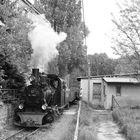 Das Gleisdreieck der Waldeisenbahn ...