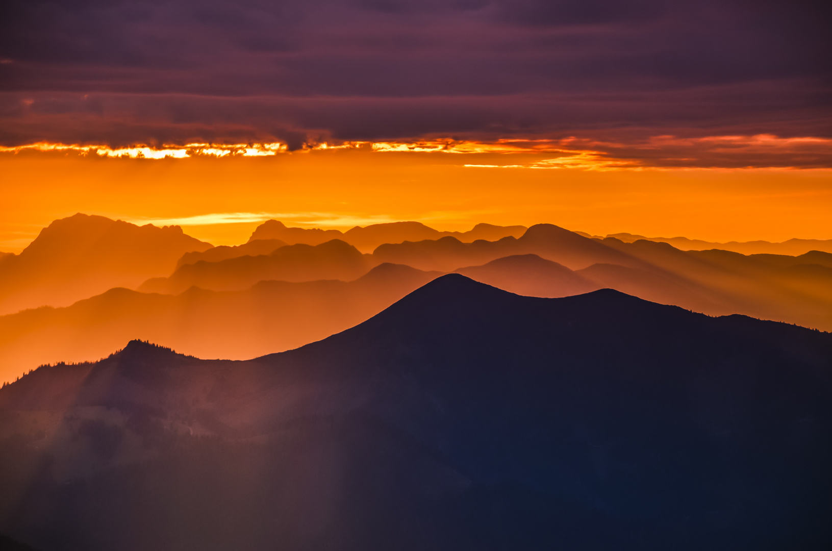 Das gleißende Licht der Sonne wenn sie den Tag beginnt...