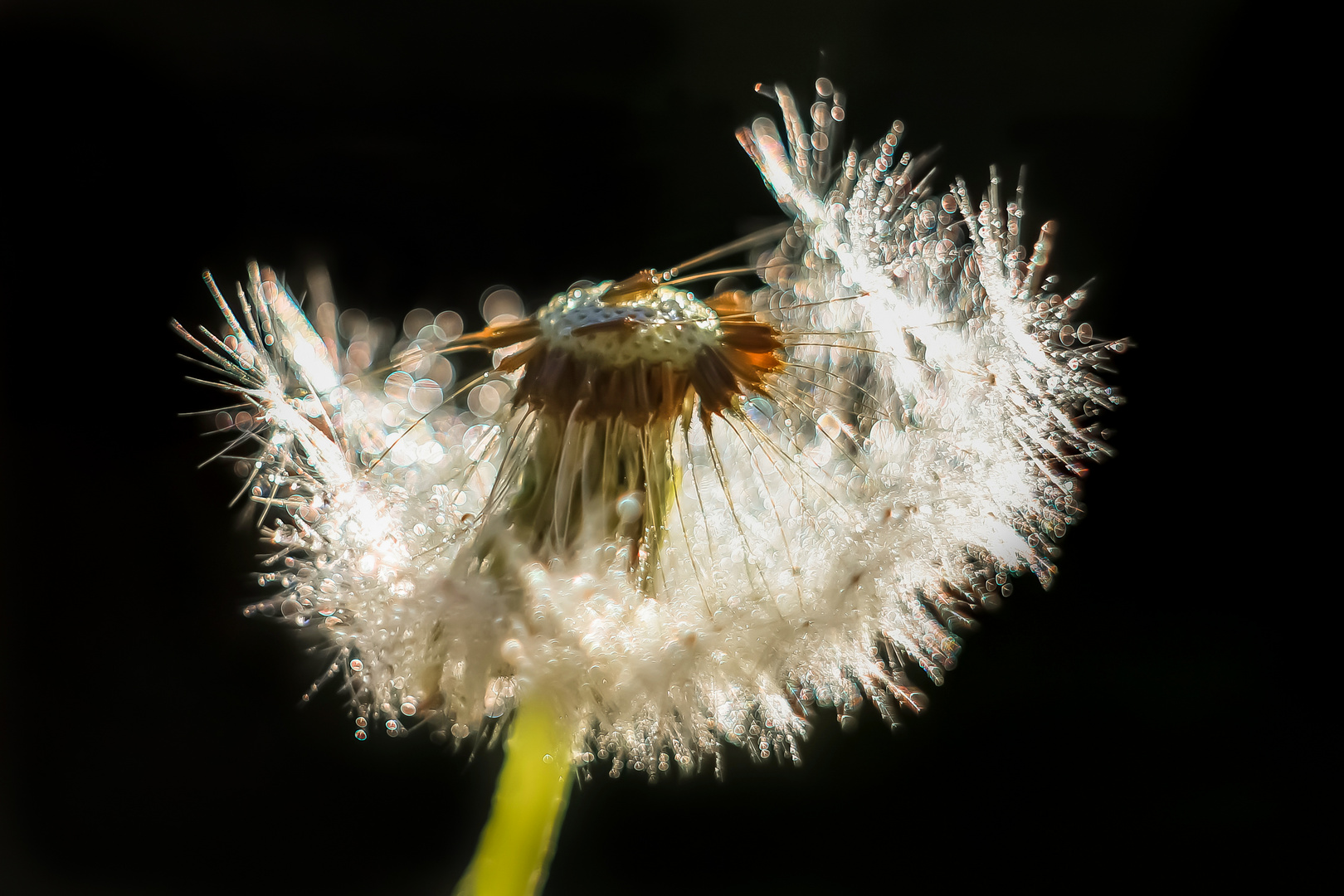 Das Glitzerkleid