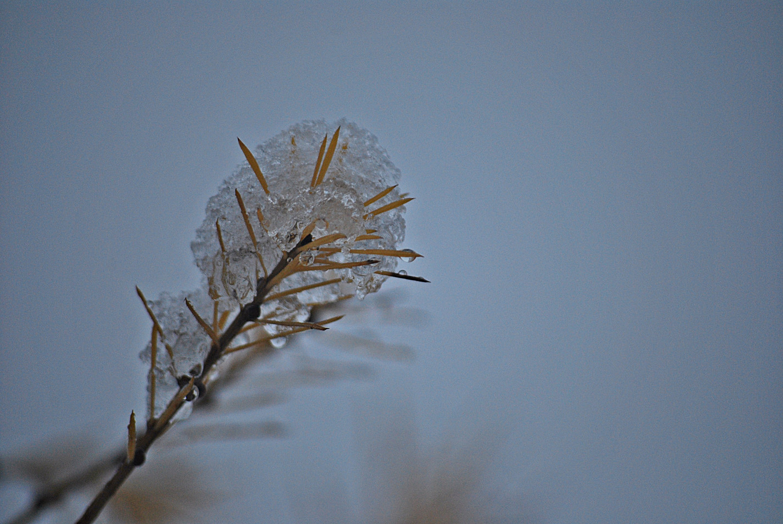 das Glitzern eines trüben Wintertages...