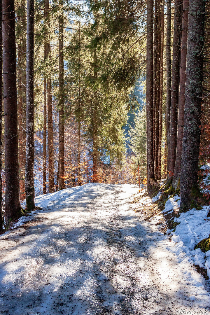 Das Glitzern in der Sonne