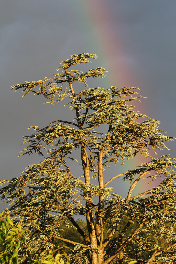 Das Glück befindet sich am Ende des Regenbogens